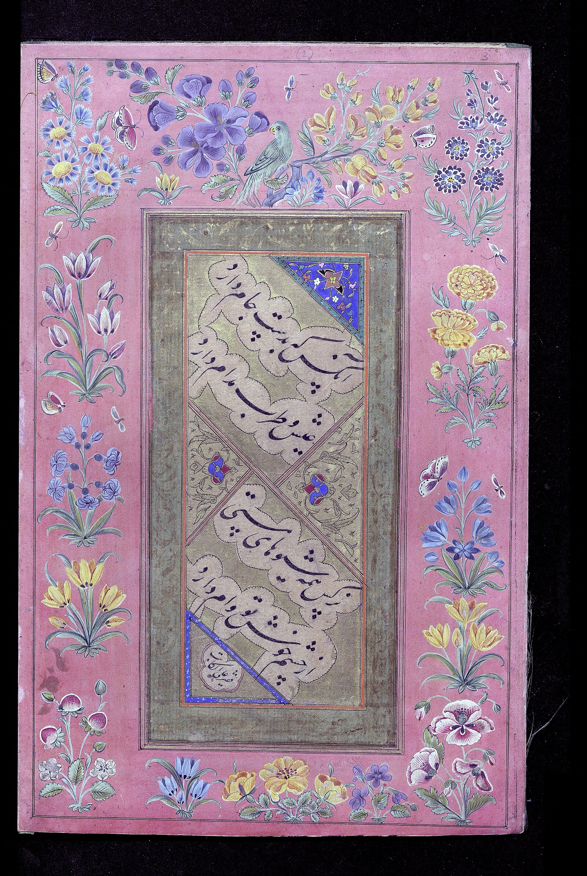 Nastaʿlīq Calligraphy album The concertina album, kept within a lacquer binding (for which see following entry) opens in concertina fashion and comprises 28 pages. Each page has bold floral margins, some inhabited by birds and insects, some executed in a characteristically Qajar style, which postdates the examples of calligraphy the pages contain. Some of the border illuminations are copied from the immediately preceding page. The following names and dates are mentioned: p. 1, Shāh Maḥmūd and Mīr'Alī al-Ḥusaynī; p. 4, Faqīr‘Alī; pp. 15, 16, 17, Muḥammad Ṣāliḥ, dated, on p. 15, 1105 AH (1693 CE) here illustrated; p. 19, Nūr al-Dīn Muḥammad al-lṣfahānī, dated 1087 AH (1676 CE); pp. 21, 22, Mīr'Alī, written in Qazwīn; p. 24, 'Abd al-Rashīd (Text by Anna Contadini, from the exhibition catalogue: Objects of instruction : treasures of the School of Oriental and African Studies, Anna Contadini, Editor. London : SOAS, University of London, 2007.) ( en )